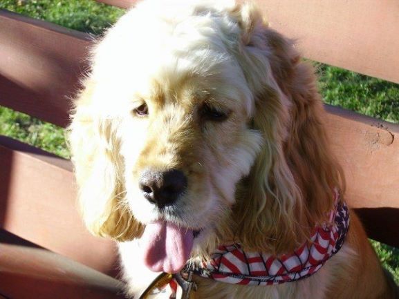 Cesar pic 2